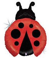 Little Ladybug SS